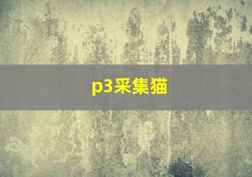 p3采集猫