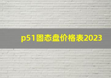 p51固态盘价格表2023