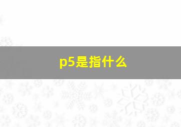 p5是指什么