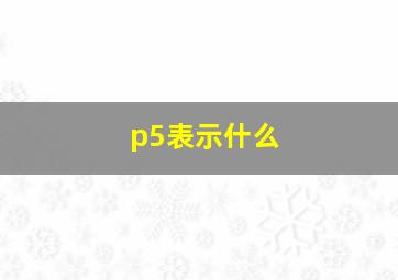 p5表示什么