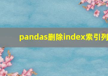 pandas删除index索引列