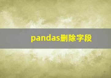 pandas删除字段