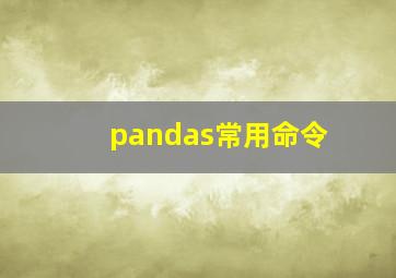 pandas常用命令