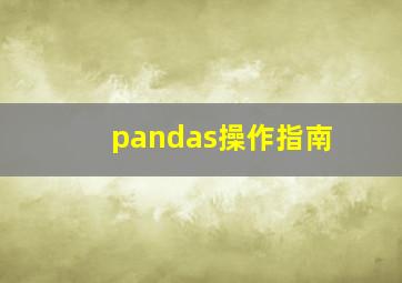 pandas操作指南