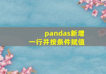 pandas新增一行并按条件赋值