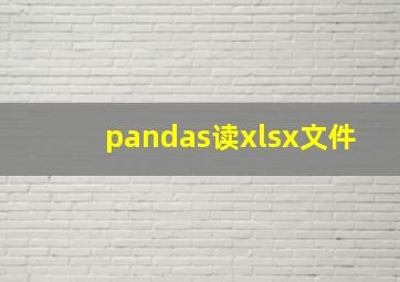 pandas读xlsx文件