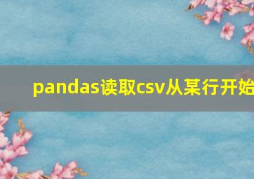 pandas读取csv从某行开始