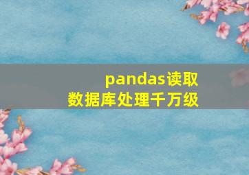 pandas读取数据库处理千万级