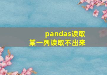 pandas读取某一列读取不出来