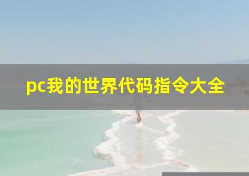 pc我的世界代码指令大全