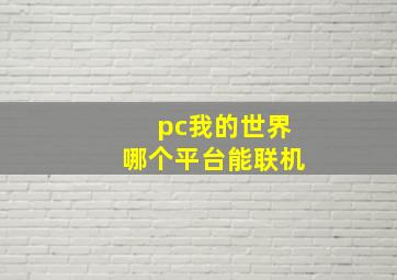 pc我的世界哪个平台能联机