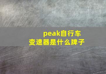 peak自行车变速器是什么牌子