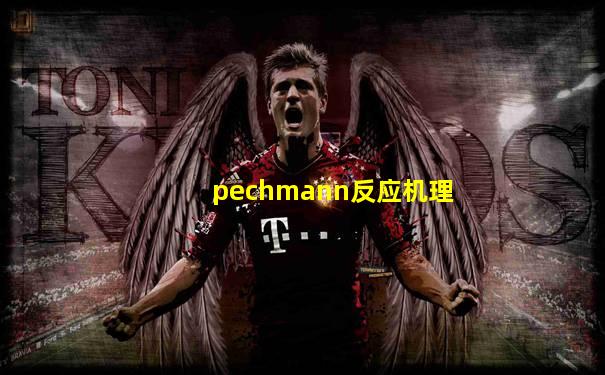 pechmann反应机理