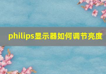 philips显示器如何调节亮度