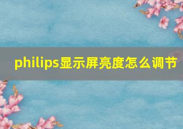 philips显示屏亮度怎么调节