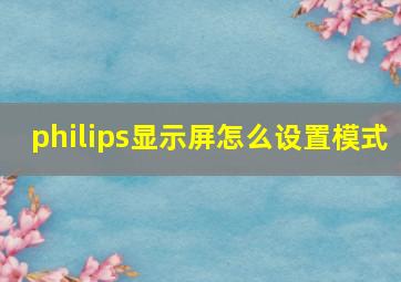 philips显示屏怎么设置模式