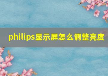 philips显示屏怎么调整亮度