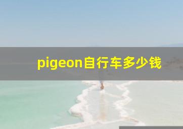 pigeon自行车多少钱