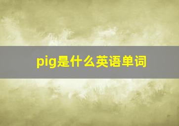 pig是什么英语单词