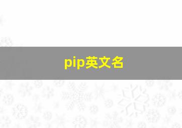 pip英文名