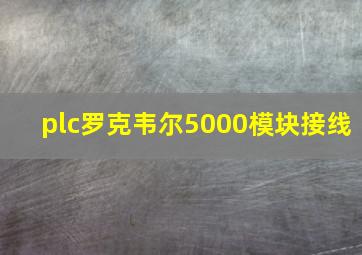 plc罗克韦尔5000模块接线