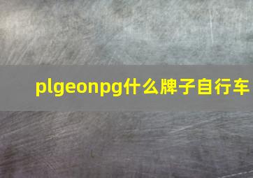 plgeonpg什么牌子自行车