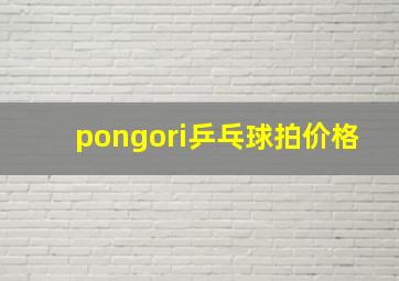 pongori乒乓球拍价格