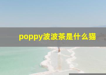 poppy波波茶是什么猫