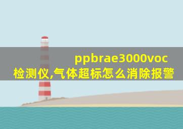 ppbrae3000voc检测仪,气体超标怎么消除报警