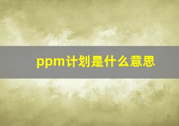 ppm计划是什么意思