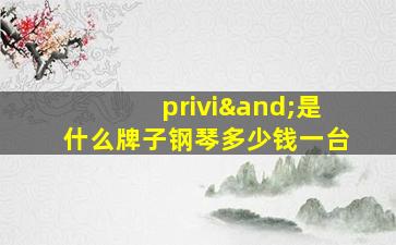 privi∧是什么牌子钢琴多少钱一台