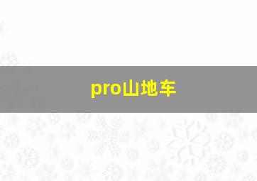 pro山地车