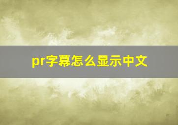 pr字幕怎么显示中文