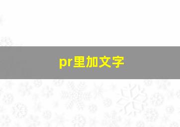 pr里加文字