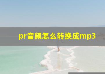 pr音频怎么转换成mp3