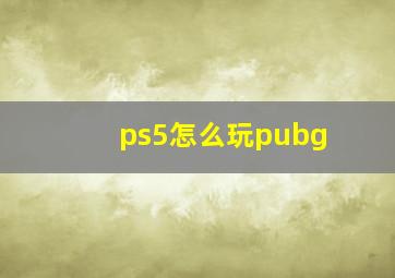 ps5怎么玩pubg