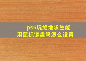 ps5玩绝地求生能用鼠标键盘吗怎么设置