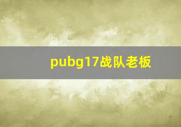 pubg17战队老板