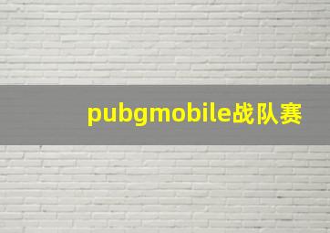 pubgmobile战队赛