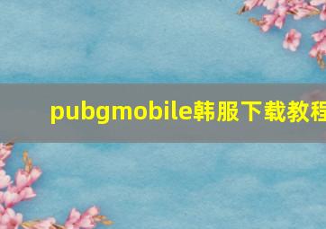 pubgmobile韩服下载教程