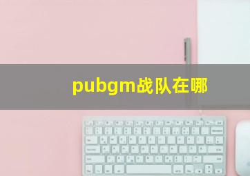 pubgm战队在哪