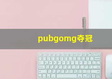 pubgomg夺冠