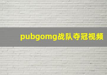 pubgomg战队夺冠视频