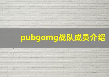 pubgomg战队成员介绍