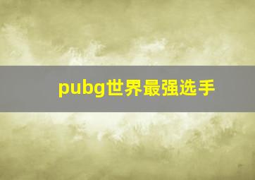 pubg世界最强选手