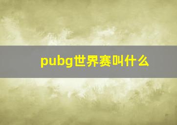 pubg世界赛叫什么