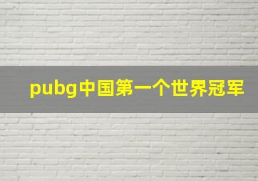 pubg中国第一个世界冠军