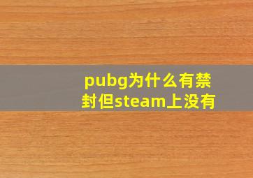 pubg为什么有禁封但steam上没有