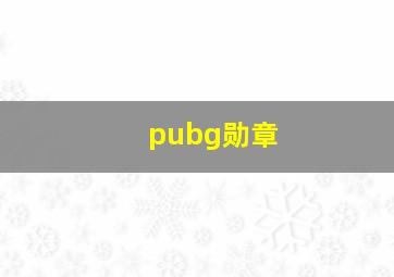 pubg勋章