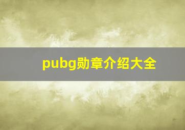 pubg勋章介绍大全